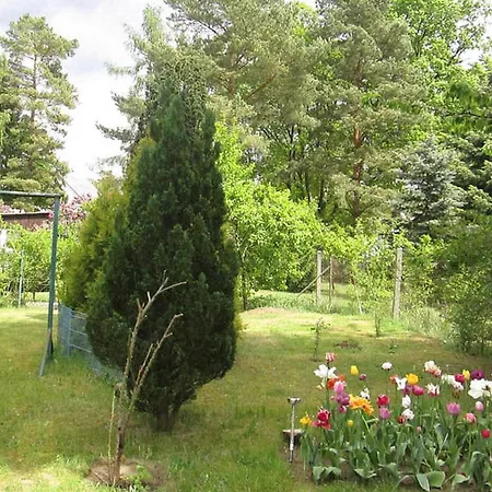 Ferienhaus Fuerstenberg-havel Holiday home Pian